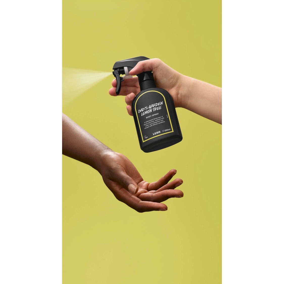 Dad's Garden Lemon Tree - Image 3