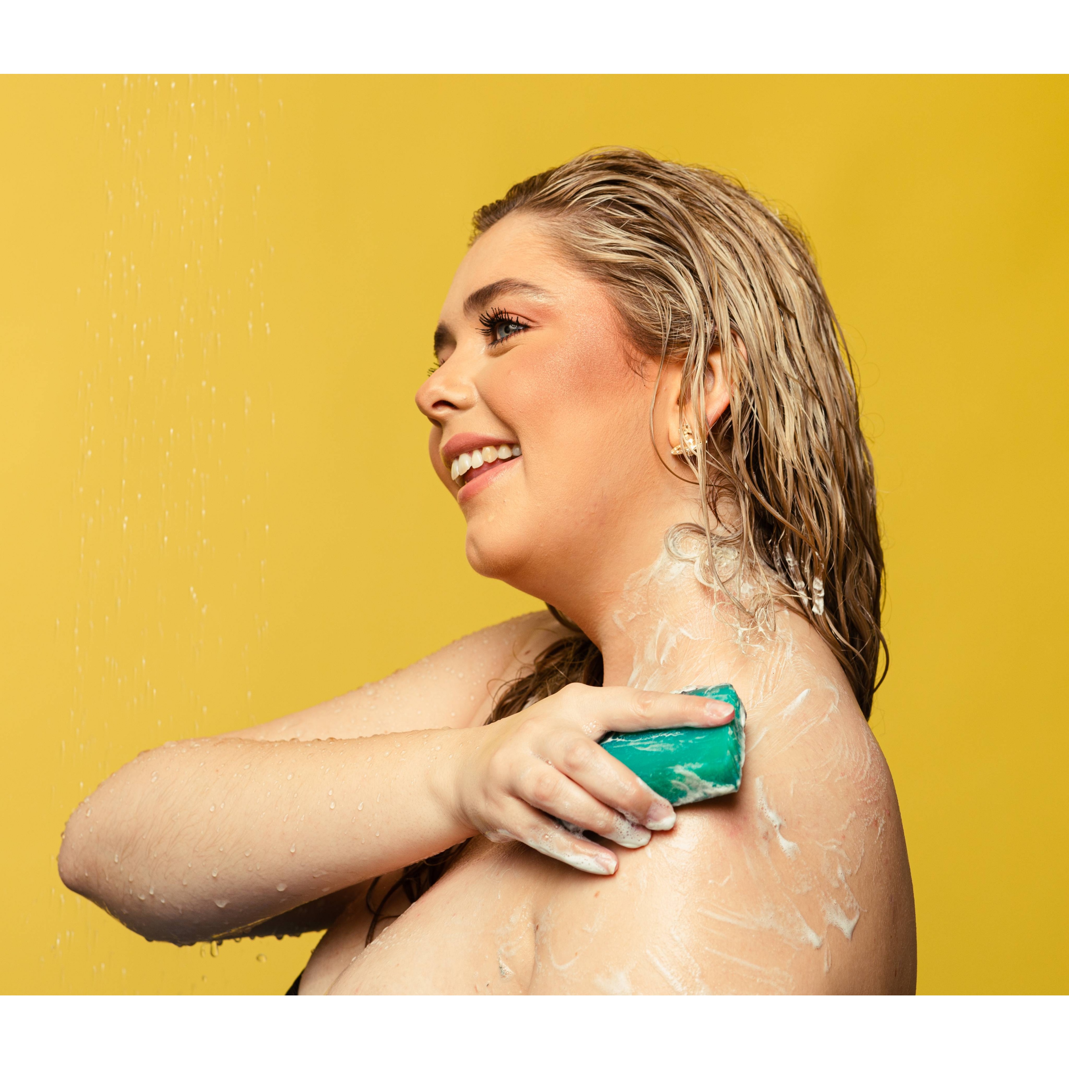 Sea Vegetable - Image 2